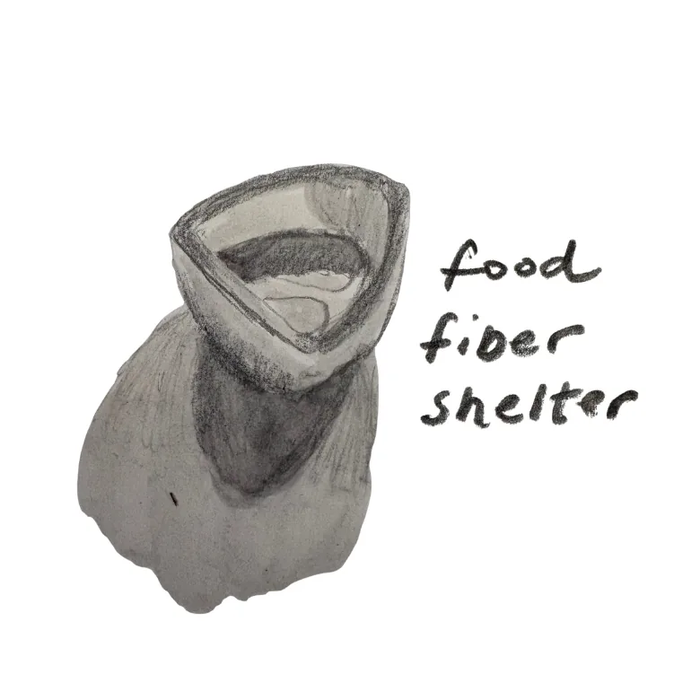 Food Fiber Shelter — hand-drawn dye vessel logo