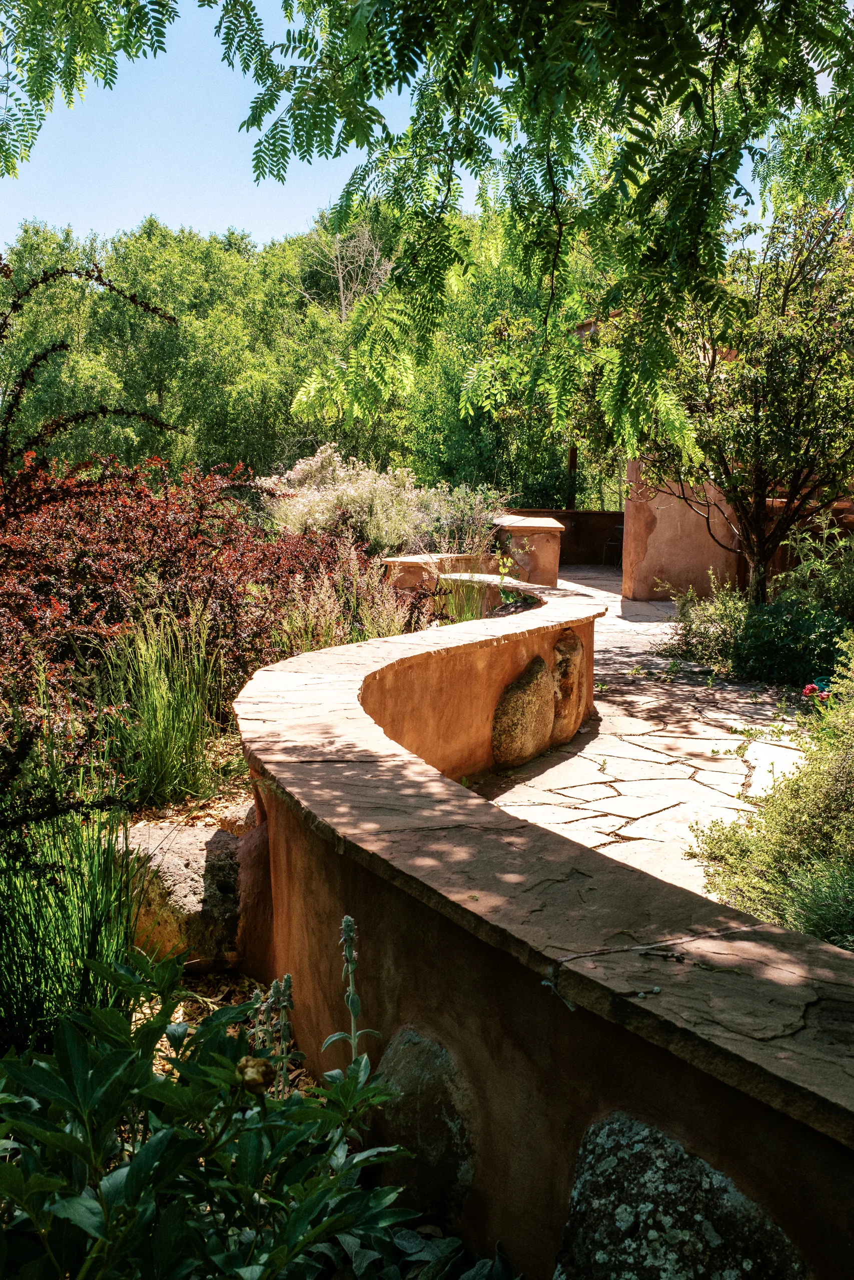 A flagstone path curves along a sculpted adobe wall through a lush garden