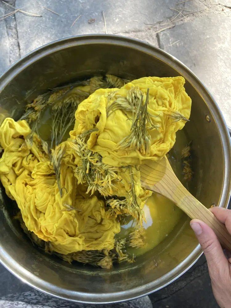 A natural dye pot mid-simmer
